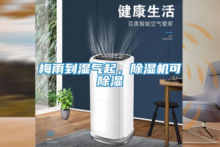 梅雨到湿气起，91免费网站在线观看可除湿