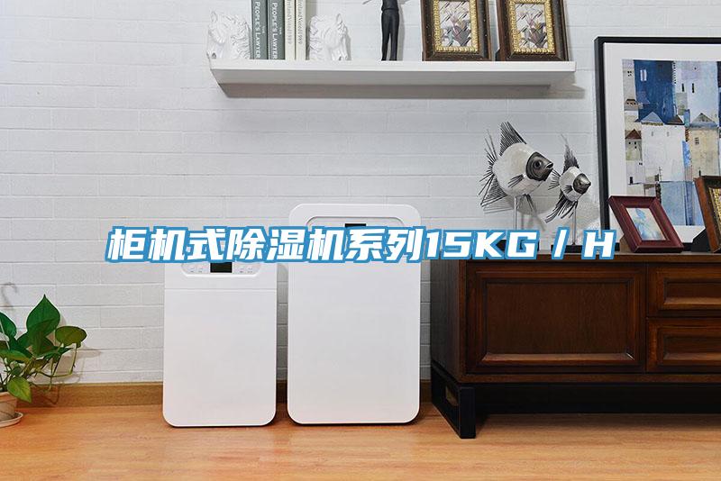 柜机式91免费网站在线观看系列15KG／H