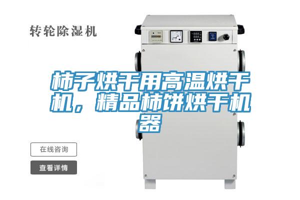 柿子烘干用高温烘干机，精品柿饼烘干机器