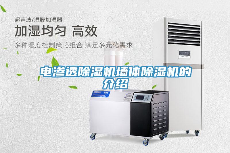 电渗透91免费网站在线观看墙体91免费网站在线观看的介绍