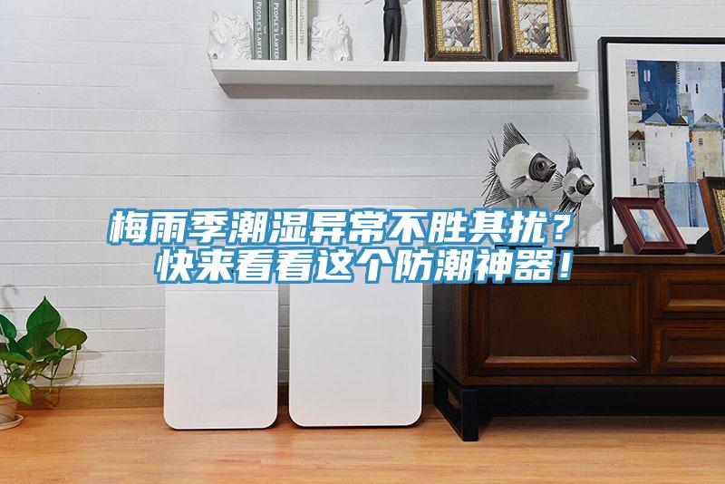 梅雨季潮湿异常不胜其扰？ 快来看看这个防潮神器！