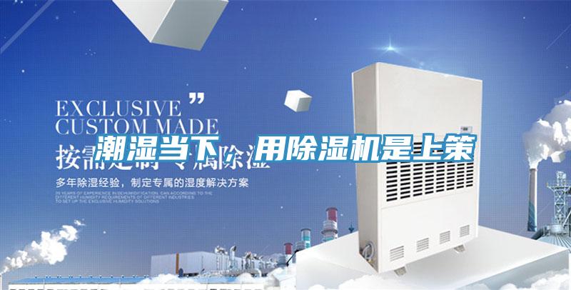 潮湿当下，用91免费网站在线观看是上策