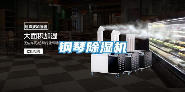 钢琴91免费网站在线观看