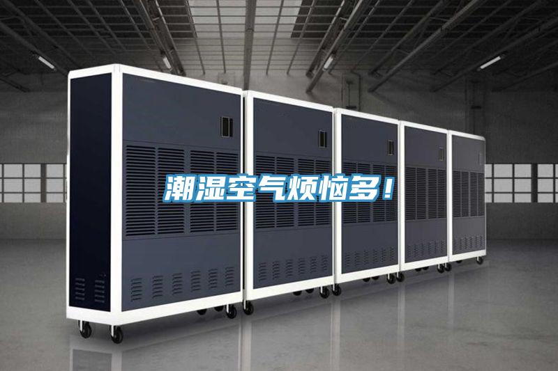 潮湿空气烦恼多！