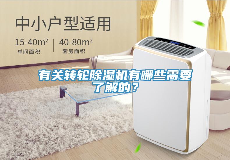 有关转轮91免费网站在线观看有哪些需要了解的？