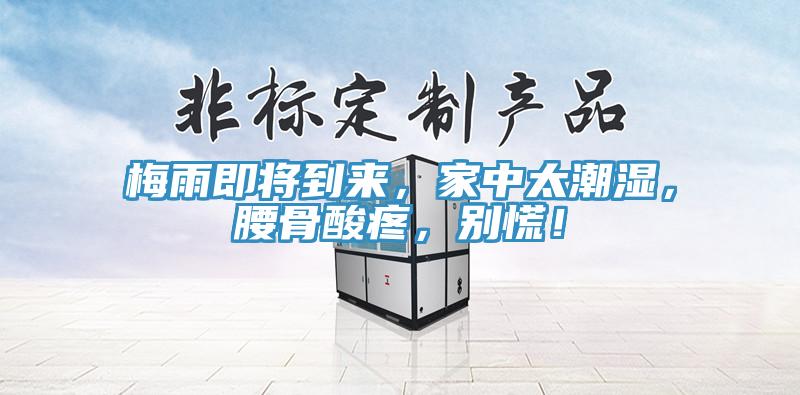 梅雨即将到来，家中太潮湿，腰骨酸疼，别慌！
