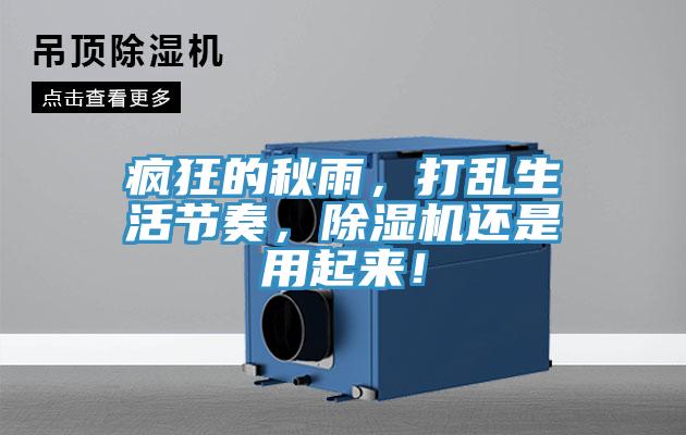 疯狂的秋雨，打乱生活节奏，91免费网站在线观看还是用起来！