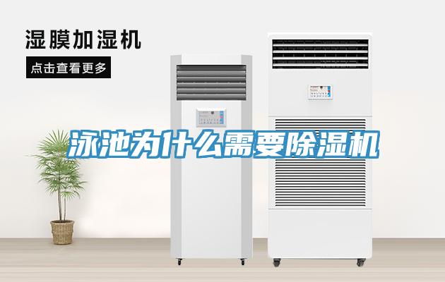 泳池为什么需要91免费网站在线观看