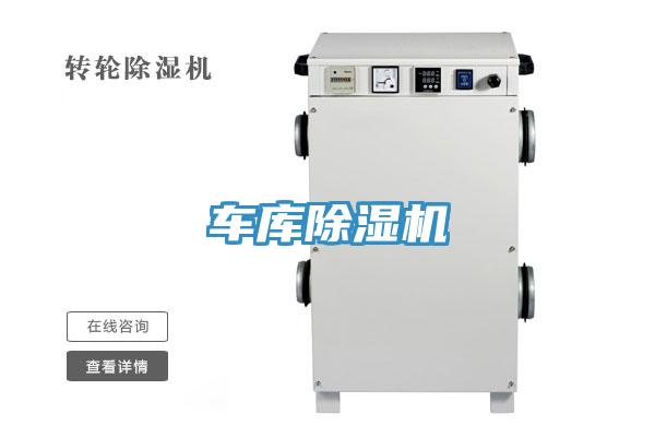 车库91免费网站在线观看