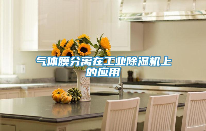 气体膜分离在工业91免费网站在线观看上的应用