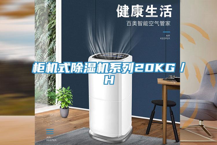 柜机式91免费网站在线观看系列20KG／H