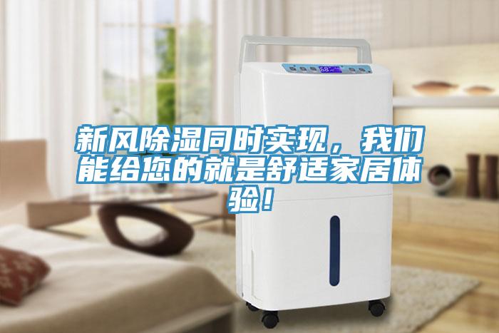 新风除湿同时实现，91免费看黄片能给您的就是舒适家居体验！