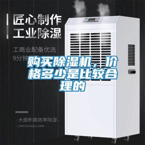 购买91免费网站在线观看，价格多少是比较合理的