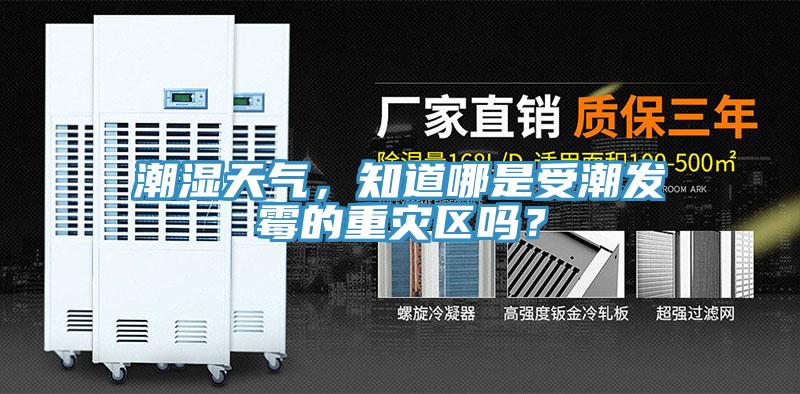 潮湿天气，知道哪是受潮发霉的重灾区吗？