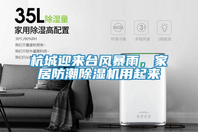 杭城迎来台风暴雨，家居防潮91免费网站在线观看用起来