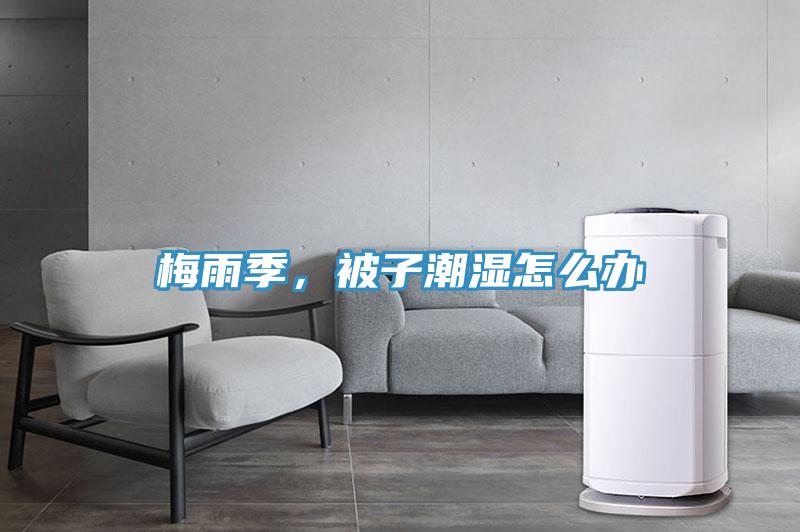 梅雨季，被子潮湿怎么办