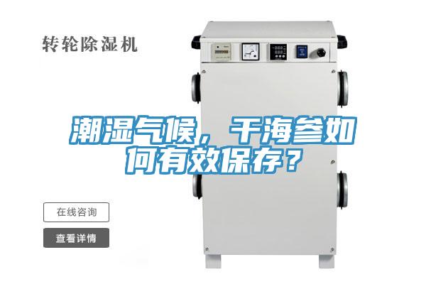 潮湿气候，干海参如何有效保存？