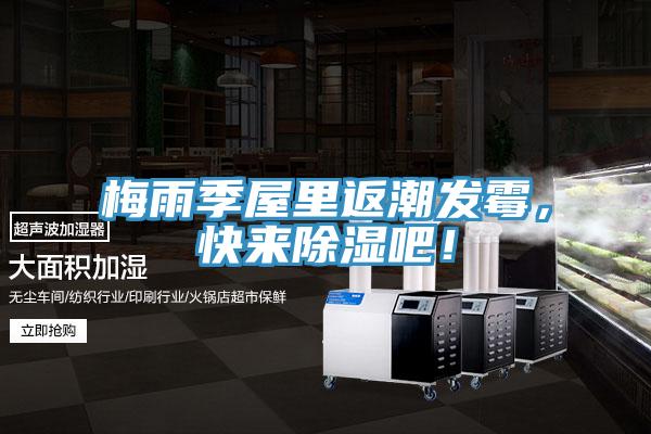 梅雨季屋里返潮发霉，快来除湿吧！