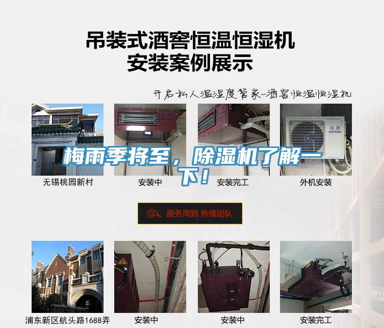 梅雨季将至，91免费网站在线观看了解一下！