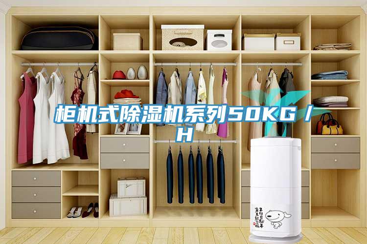 柜机式91免费网站在线观看系列50KG／H