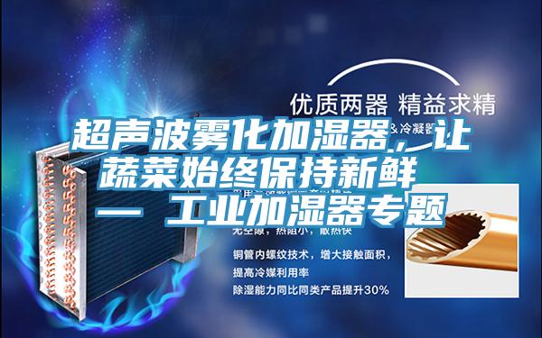超声波雾化加湿器，让蔬菜始终保持新鲜 — 工业加湿器专题