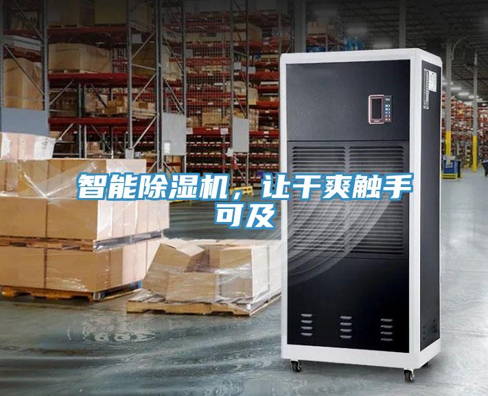 智能91免费网站在线观看，让干爽触手可及