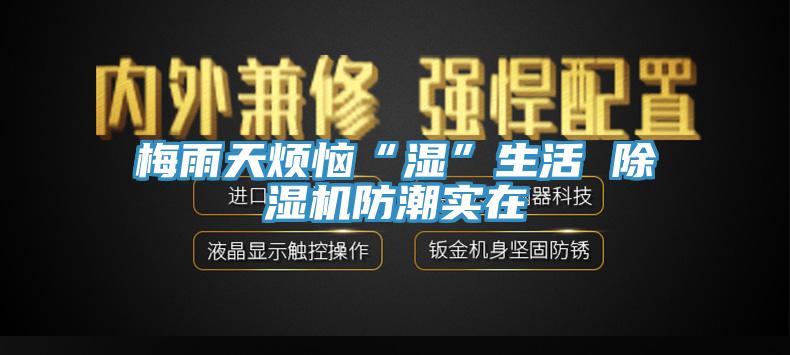 梅雨天烦恼“湿”生活 91免费网站在线观看防潮实在