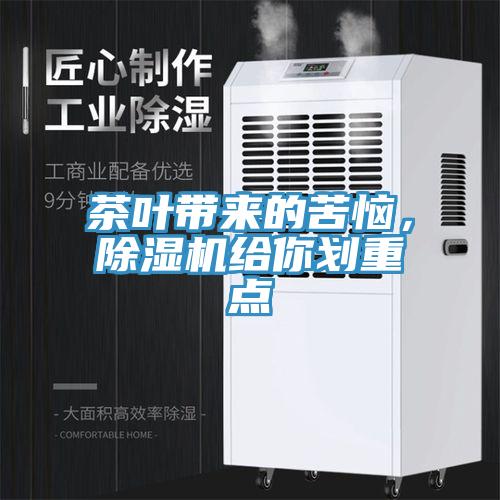 茶叶带来的苦恼，91免费网站在线观看给你划重点