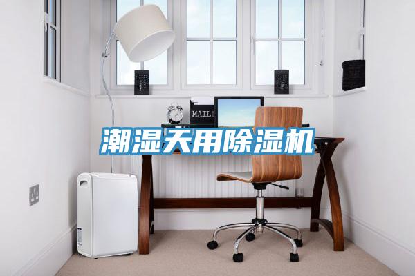 潮湿天用91免费网站在线观看