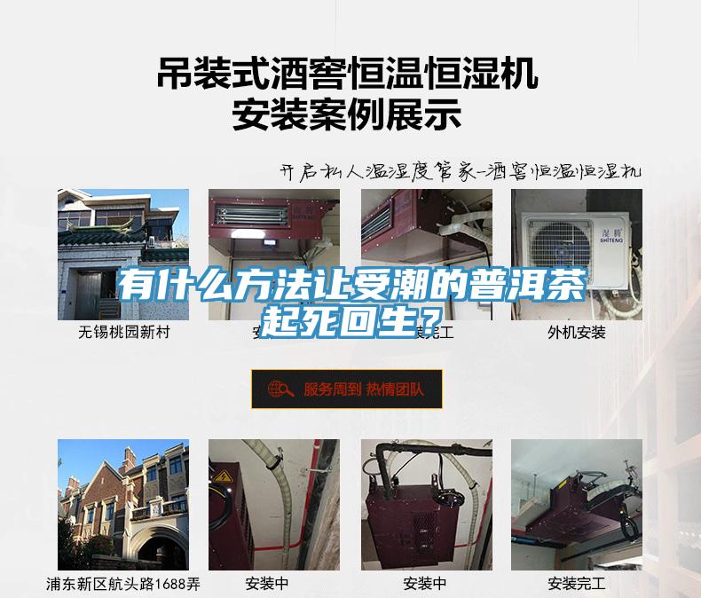 有什么方法让受潮的普洱茶起死回生？