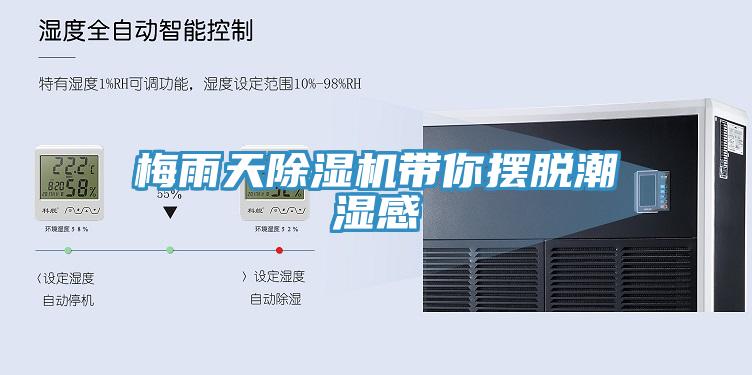 梅雨天91免费网站在线观看带你摆脱潮湿感