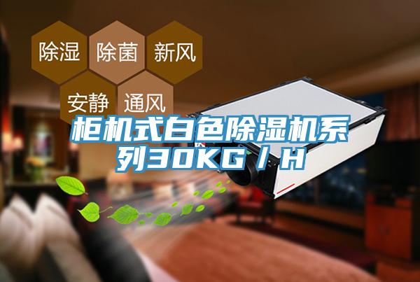 柜机式白色91免费网站在线观看系列30KG／H