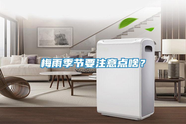 梅雨季节要注意点啥？