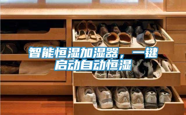 智能恒湿加湿器，一键启动自动恒湿