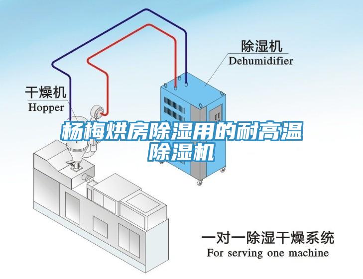 杨梅烘房除湿用的耐高温91免费网站在线观看