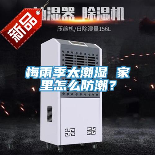 梅雨季太潮湿 家里怎么防潮？