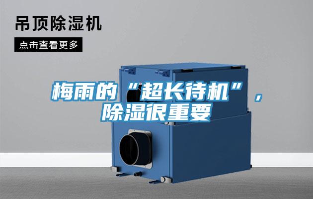 梅雨的“超长待机”，除湿很重要