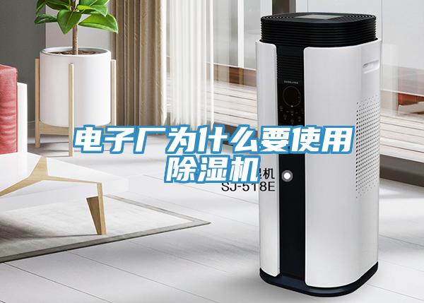 电子厂为什么要使用91免费网站在线观看