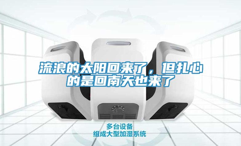 流浪的太阳回来了，但扎心的是回南天也来了