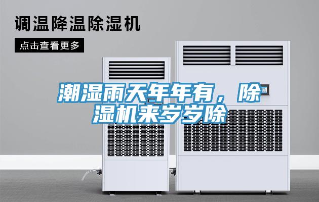 潮湿雨天年年有，91免费网站在线观看来岁岁除