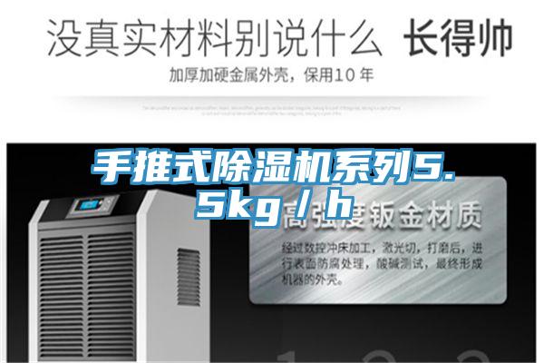 手推式91免费网站在线观看系列5.5kg／h