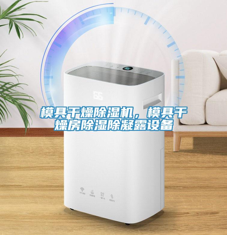 模具干燥91免费网站在线观看，模具干燥房除湿除凝露设备
