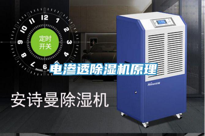 电渗透91免费网站在线观看原理
