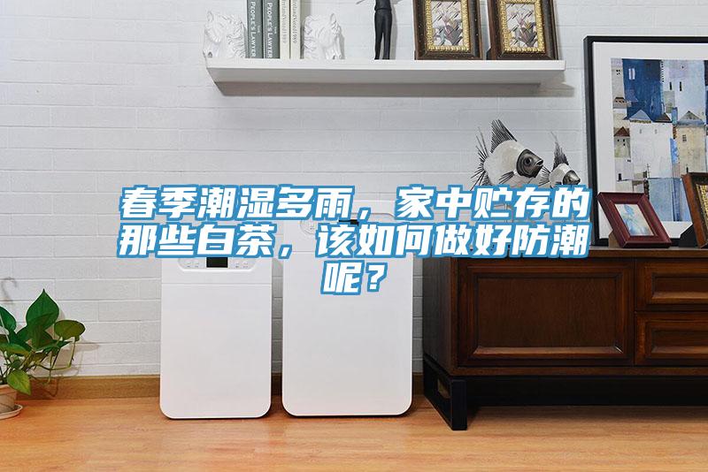 春季潮湿多雨，家中贮存的那些白茶，该如何做好防潮呢？