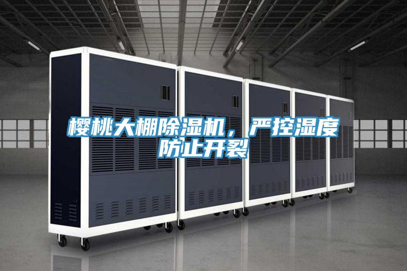 樱桃大棚91免费网站在线观看，严控湿度防止开裂