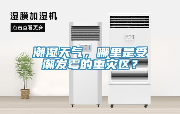 潮湿天气，哪里是受潮发霉的重灾区？