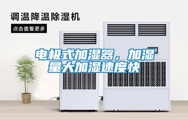 电极式加湿器，加湿量大加湿速度快