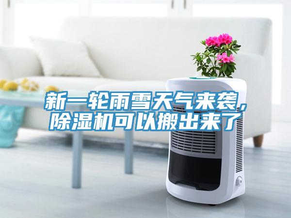 新一轮雨雪天气来袭，91免费网站在线观看可以搬出来了