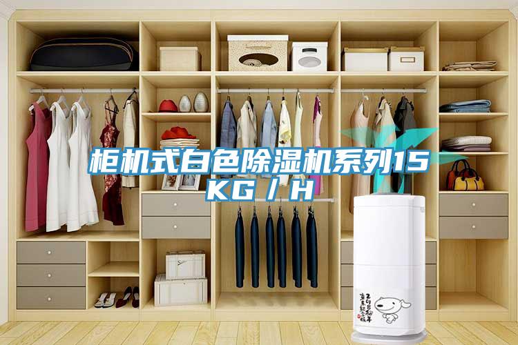 柜机式白色91免费网站在线观看系列15KG／H