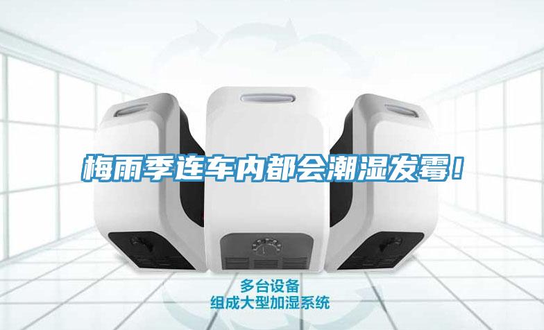 梅雨季连车内都会潮湿发霉！